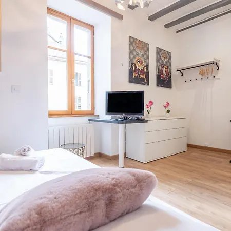 Apartmán La Tour Medievale Au Centre Annecy